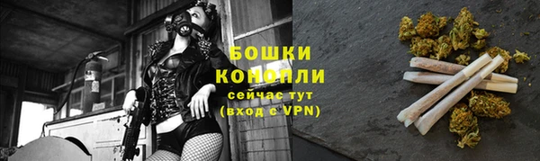 spice Горняк