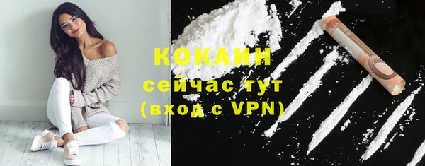 spice Горняк
