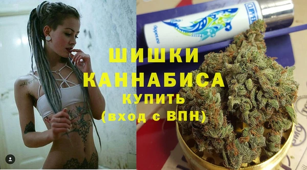 стаф Горнозаводск