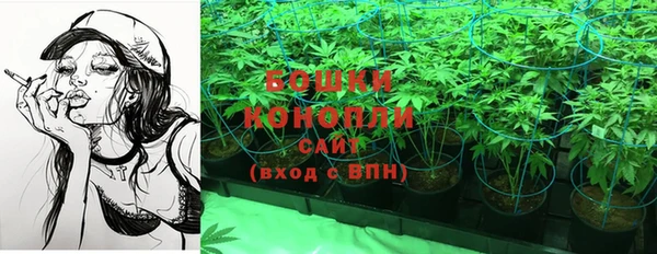 стаф Горнозаводск