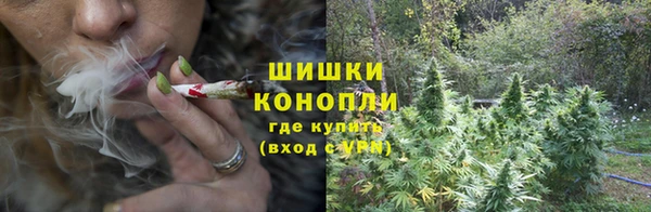 spice Горняк