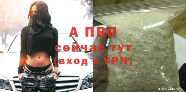 стаф Горнозаводск