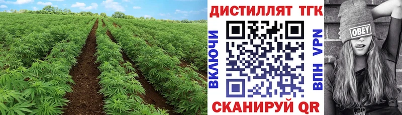 Купить Моздок Дистиллят ТГК вейп