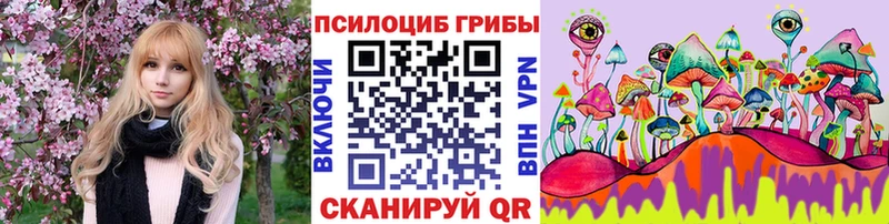Галлюциногенные грибы Cubensis Купить Моздок